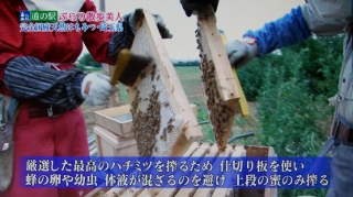 2015.08.31「道の駅ぷらり散歩美人」埼玉県編(その５)